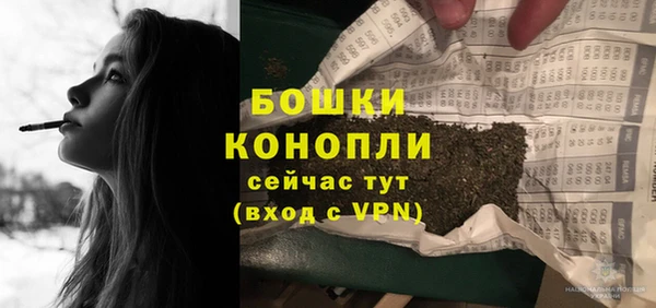 спайс Дмитриев